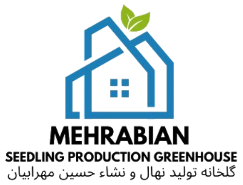 گلخانه تولید نهال و نشاء حسین مهرابیان